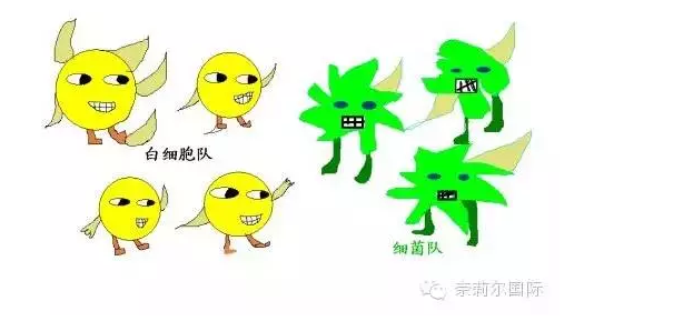 201508291440839501796710.png 2.png